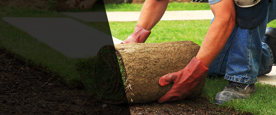 Pawling Landscapers